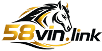 Logo 58vin
